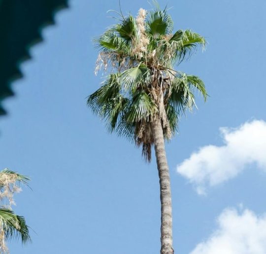 été marrakech ciel bleu