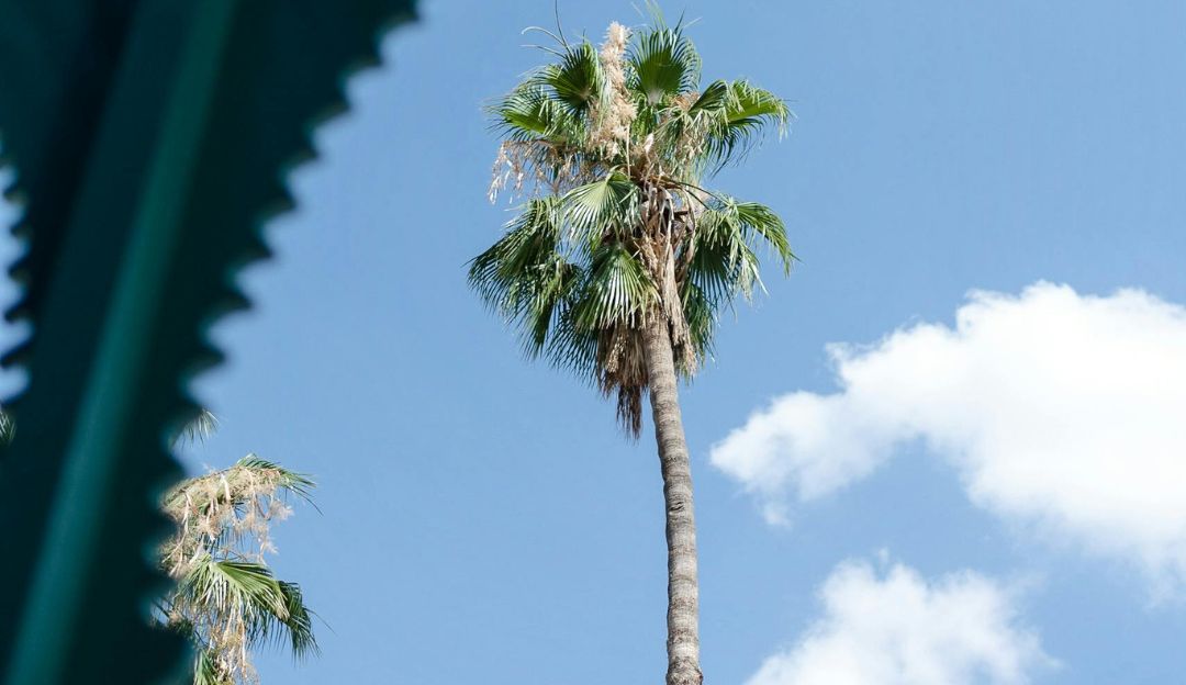 été marrakech ciel bleu