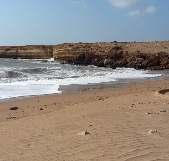 The Morocco land rich of natural actives
