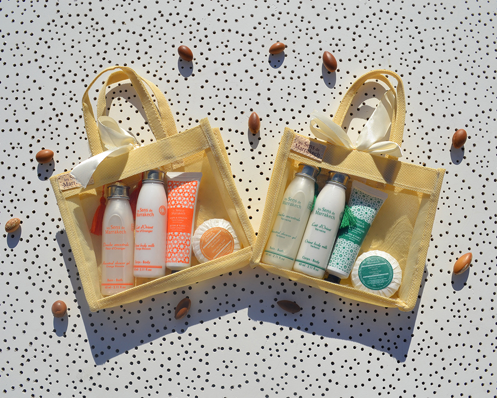 Absolute beauty mini bag