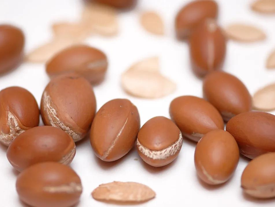 argan oil benefits